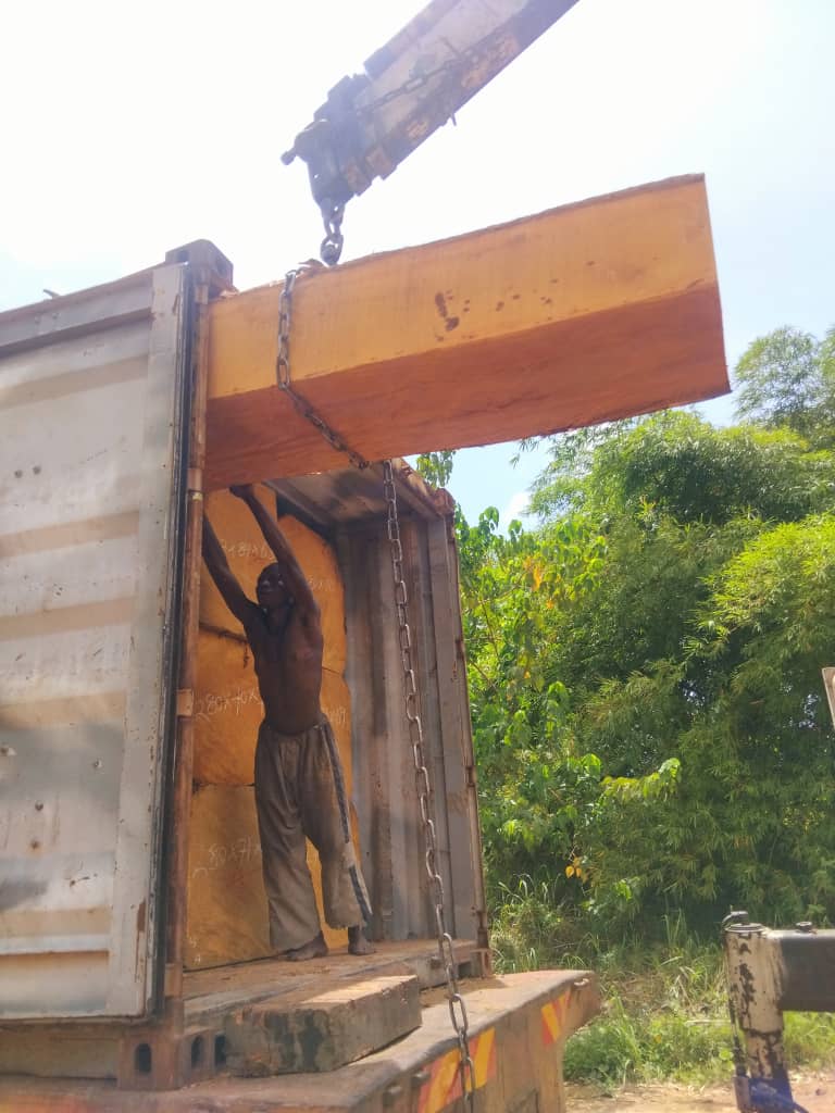 Bilinga squared timber marked and ready for export inspection