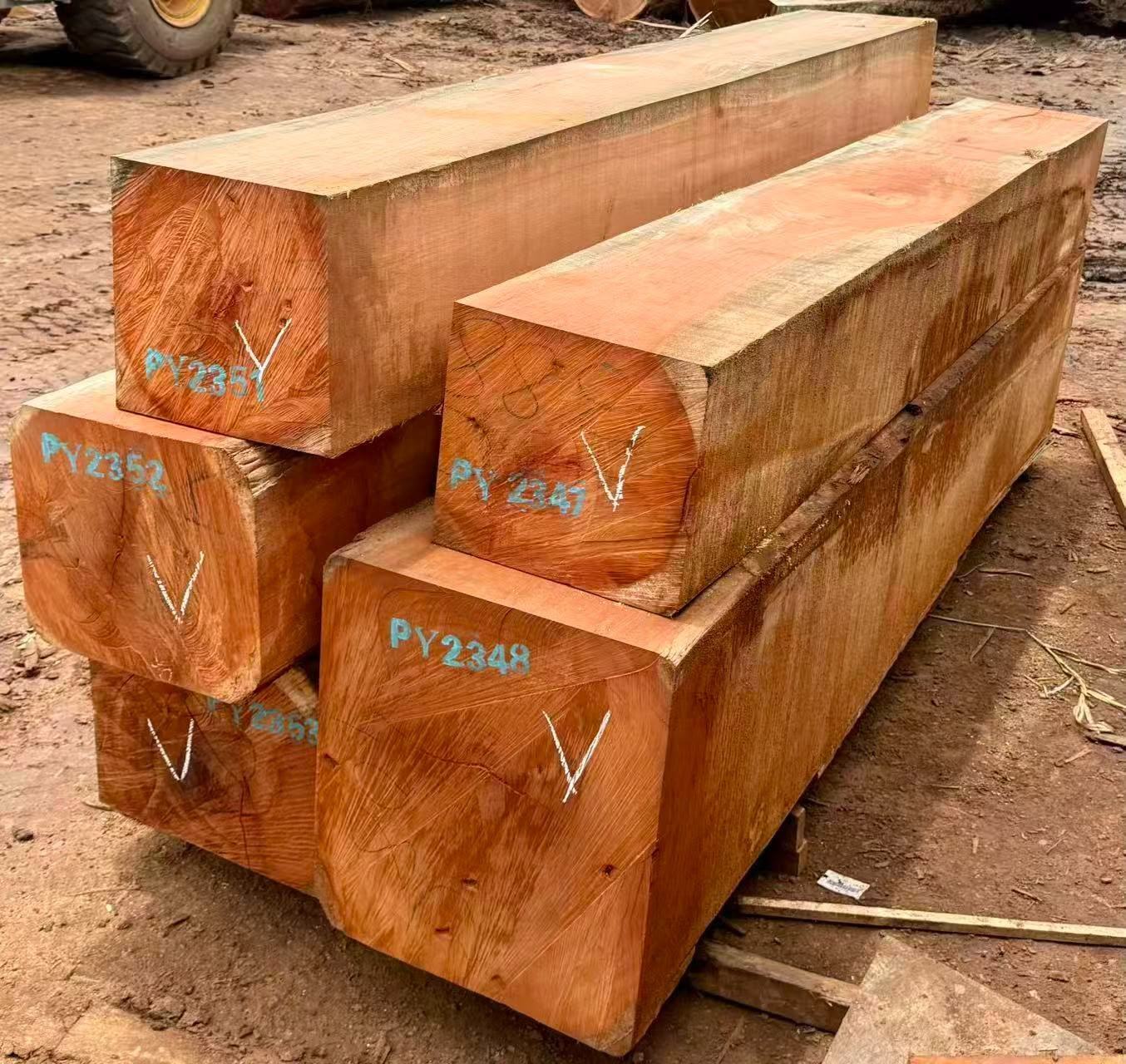 Doussie squared timber prepared for export