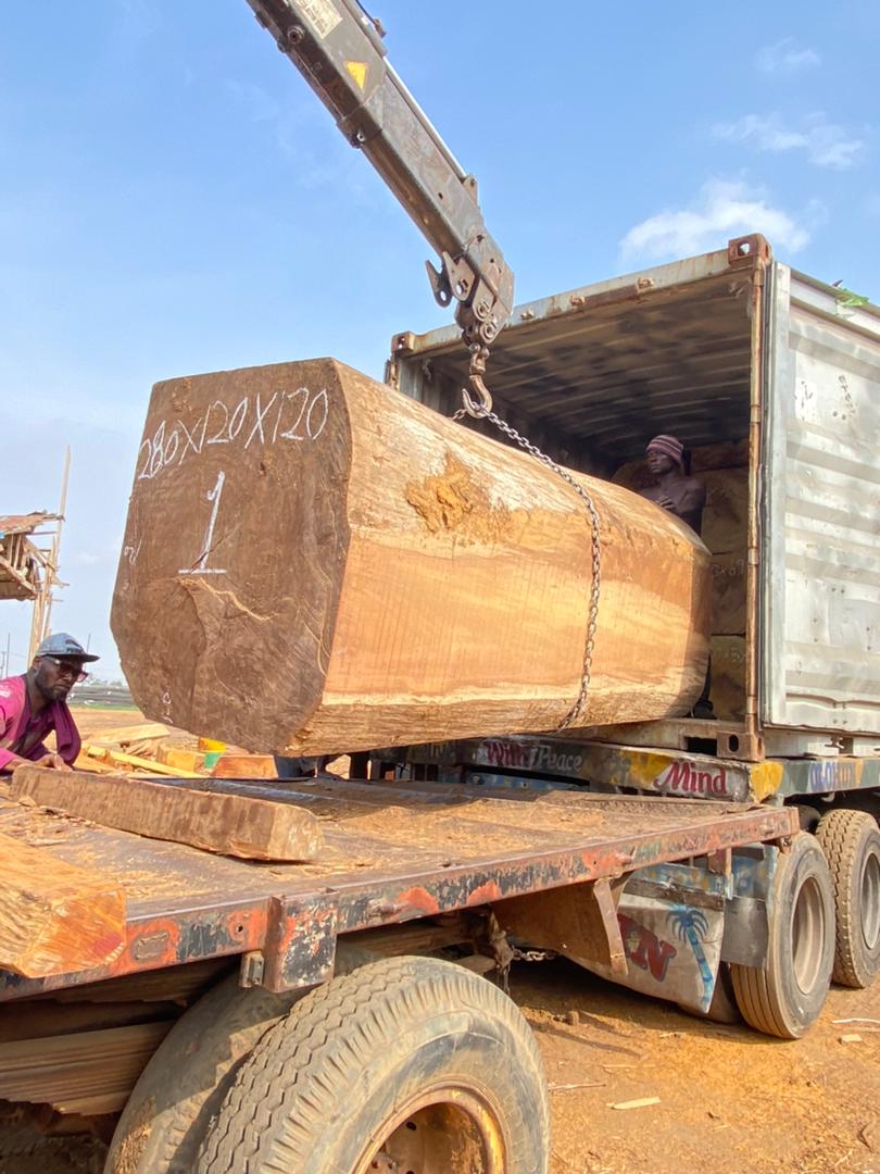 Iroko squared timber prepared for export