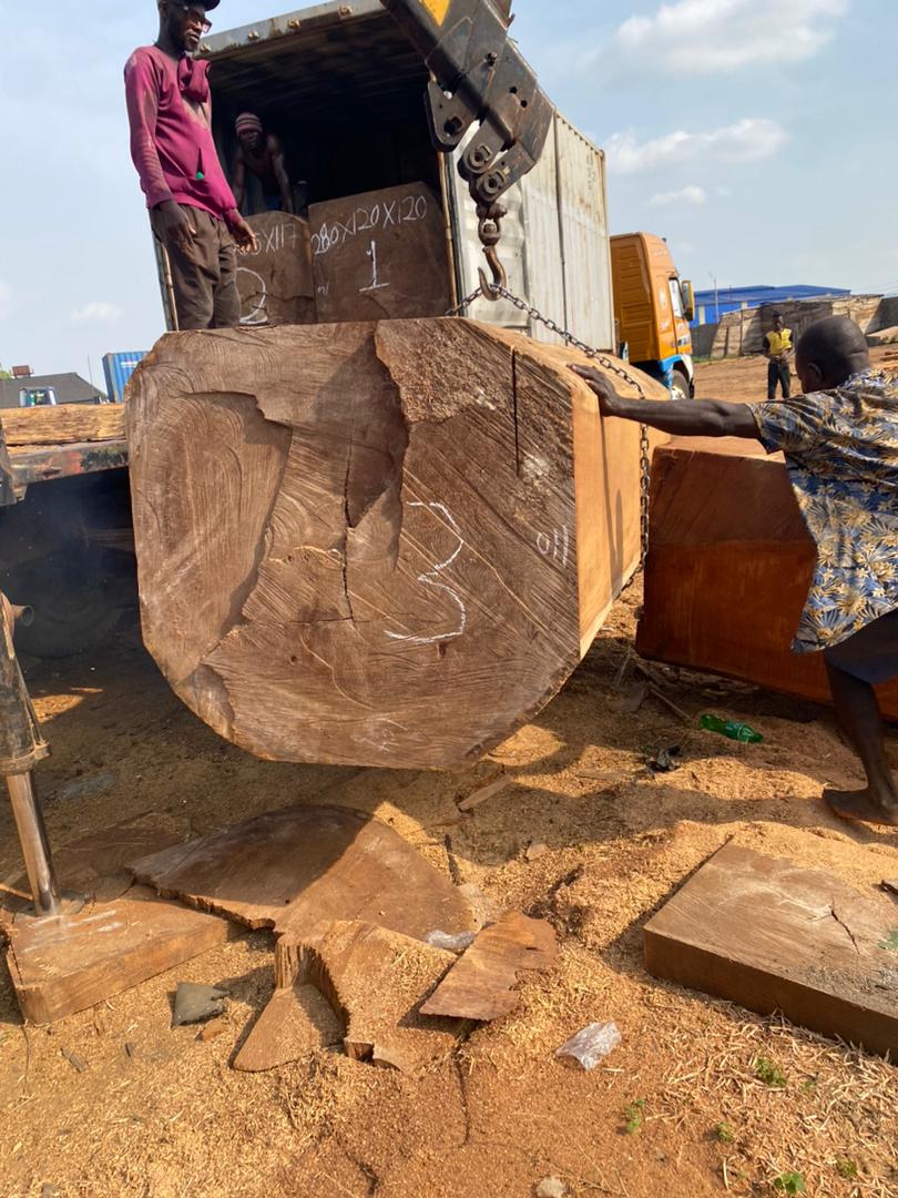 Iroko squared timber marked and ready for export inspection
