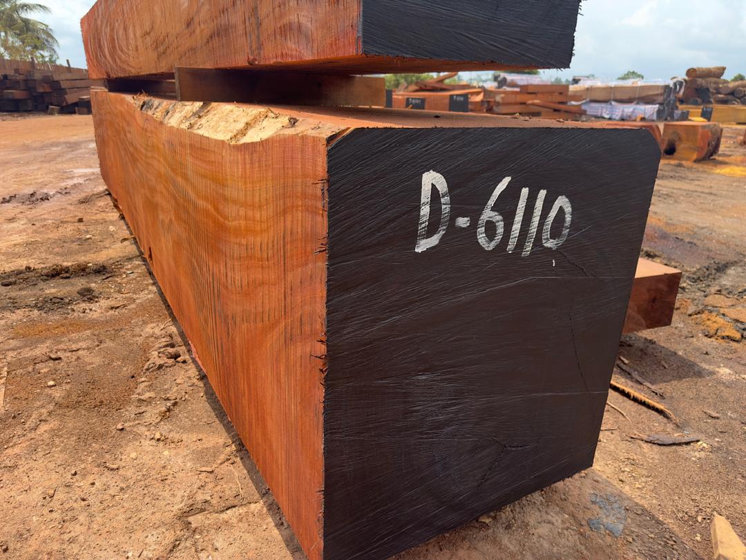 Okan-Denya squared timber marked and ready for export inspection