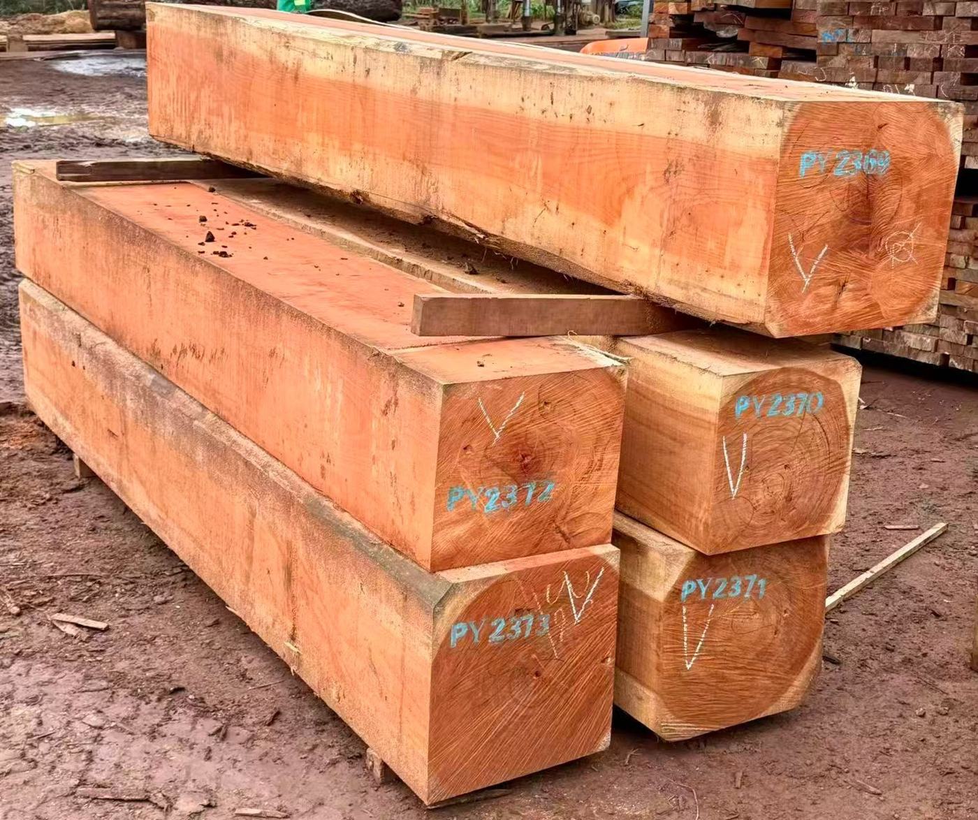 Pachyloba squared timber prepared for export