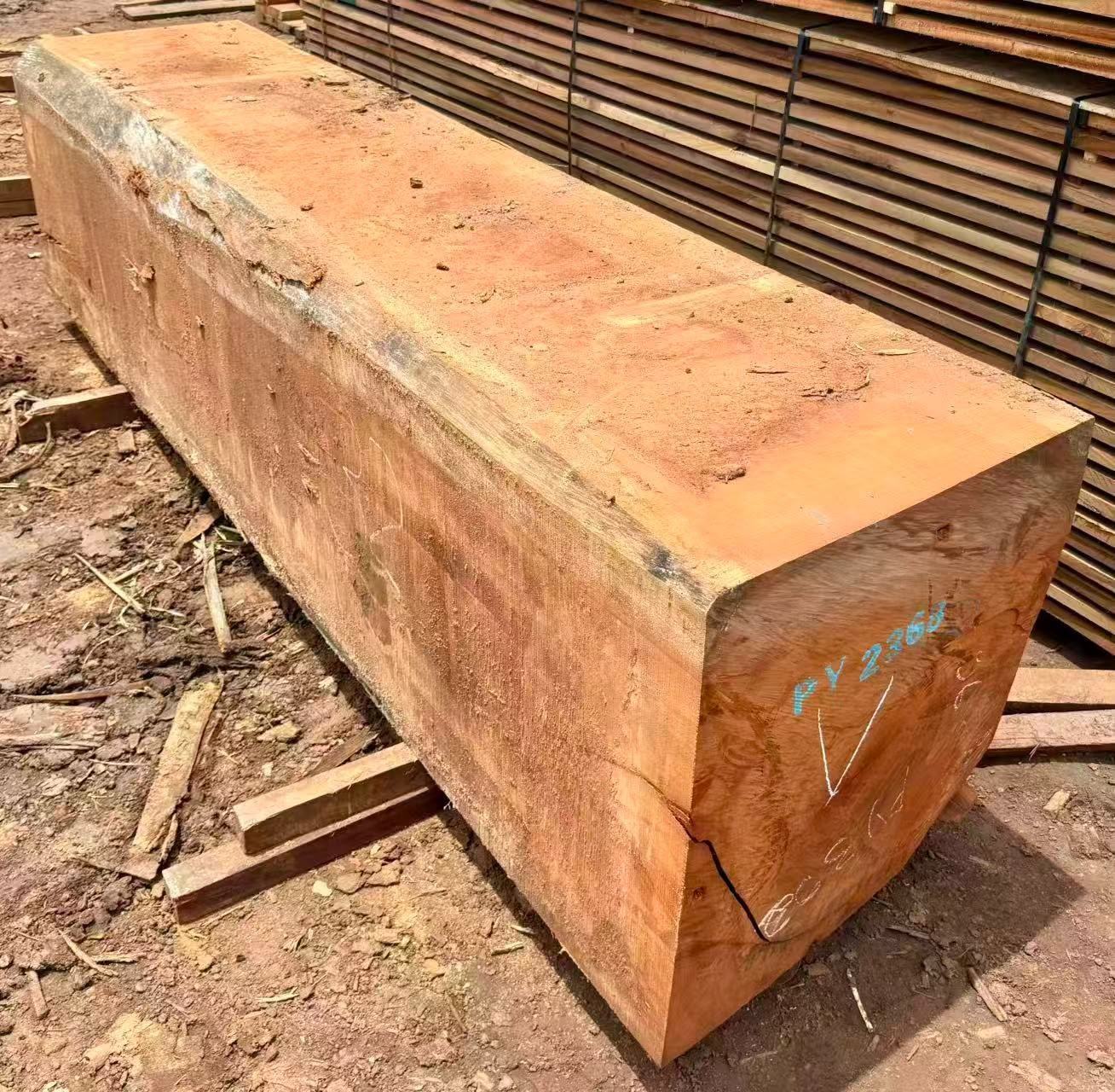 Pachyloba squared timber marked and ready for export inspection