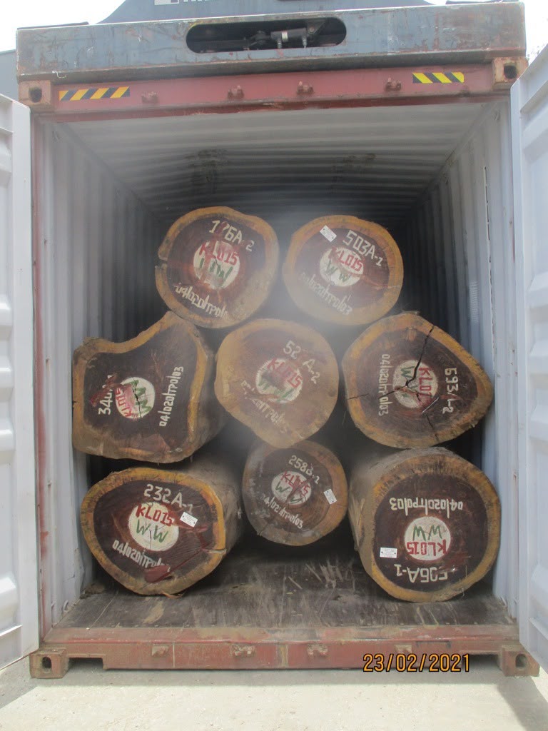 Padouk squared timber marked and ready for export inspection