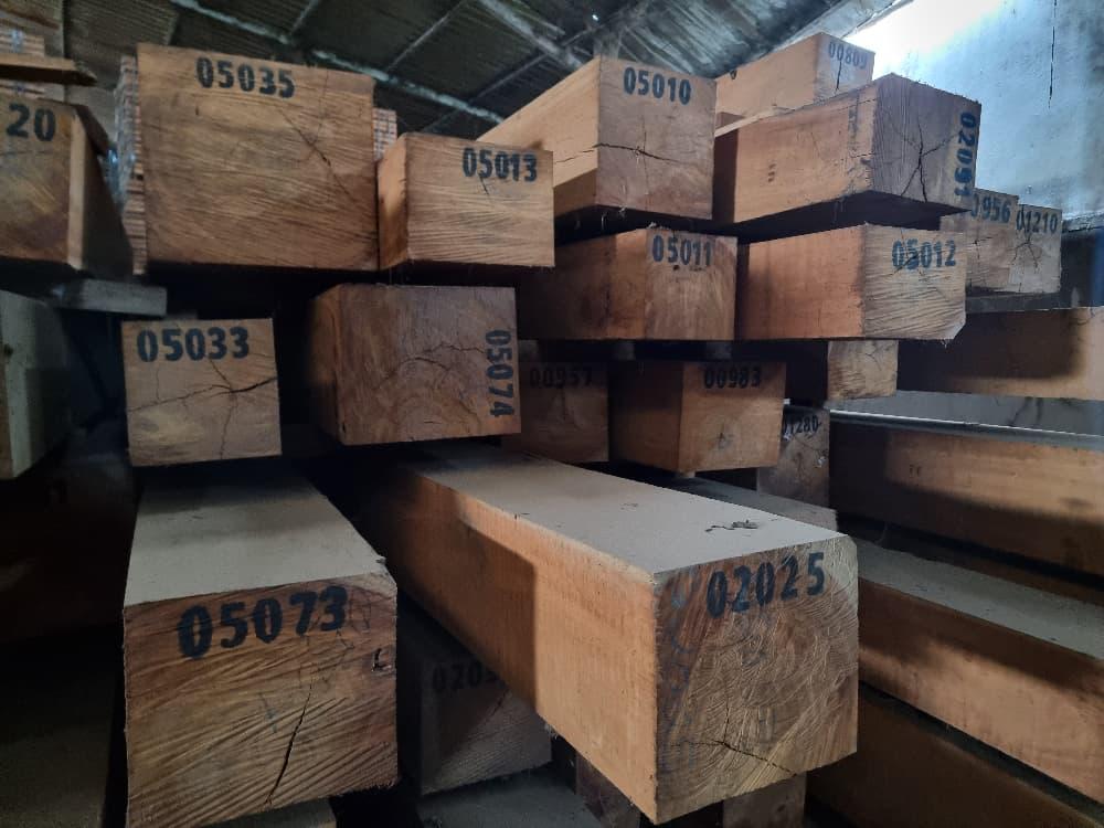 Tali squared timber marked and ready for export inspection