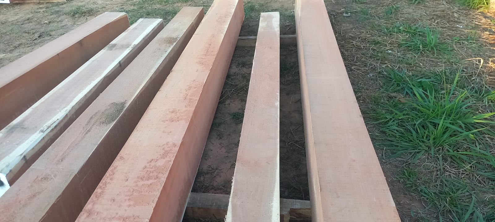 Balsamo squared timber marked and ready for export inspection