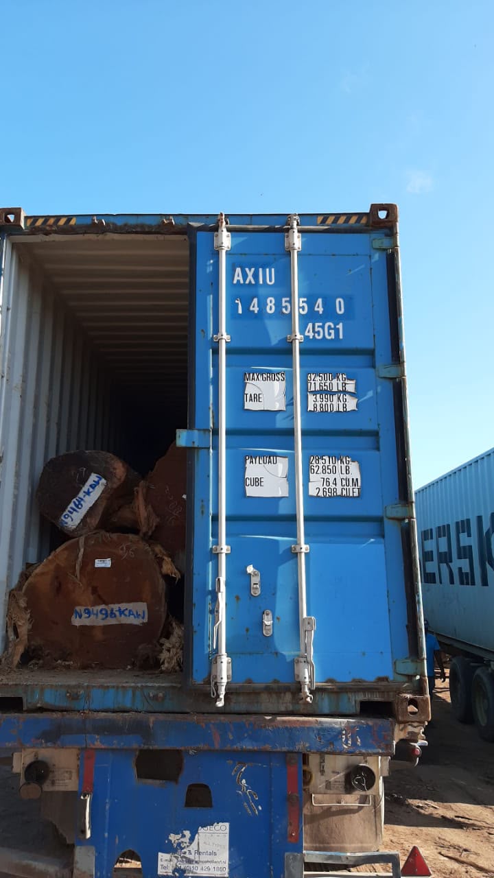 Cow round logs marked and ready for export inspection