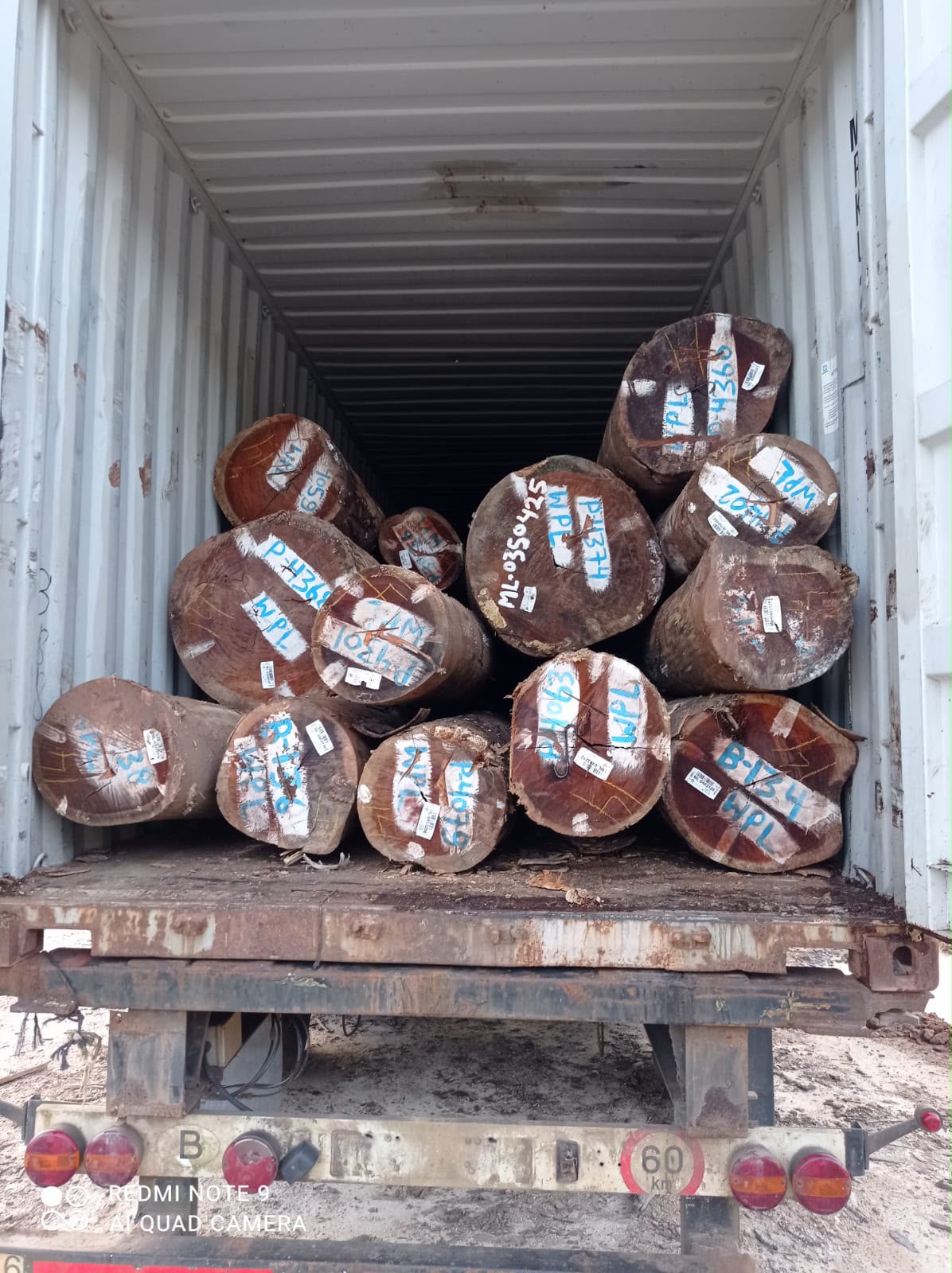 WPL round logs prepared for export