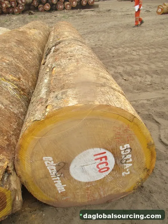 Bilinga logs from Central African Republic — goods a Vietnam buyer wants