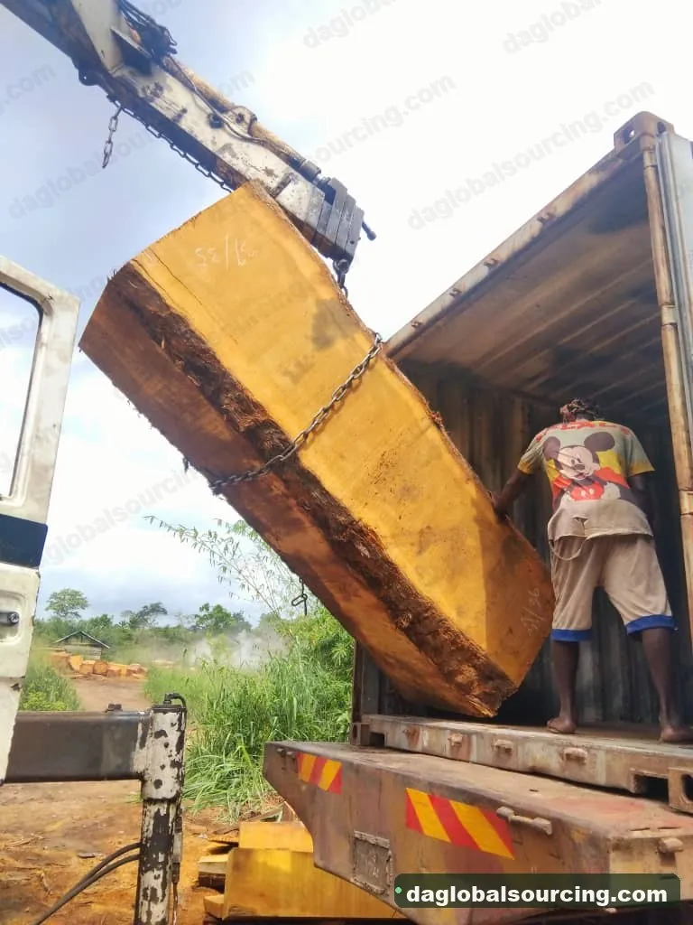 Bilinga squared from Nigeria — goods a Vietnam buyer wants
