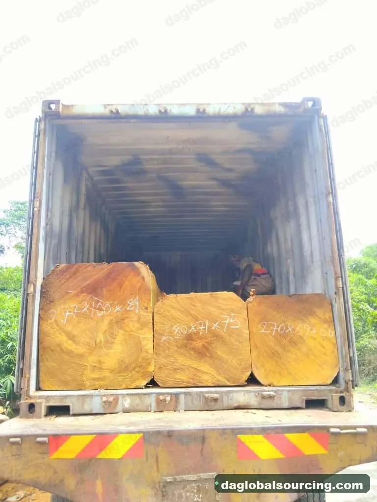 Bilinga squared from Congo — goods a Vietnam buyer wants