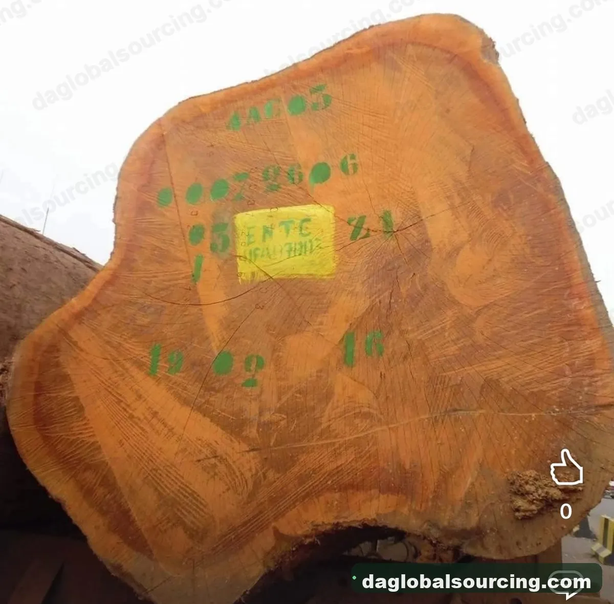 Doussie (Afzelia) logs from Cameroon — goods a Vietnam buyer wants