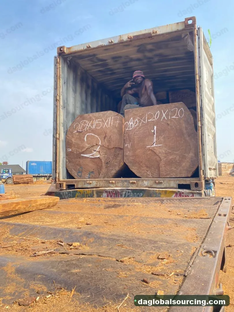 Iroko logs from Cameroon — goods a Vietnam buyer wants