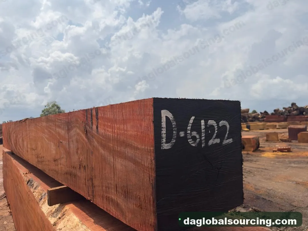 Okan squared from Central African Republic — goods a Vietnam buyer wants