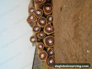 Buying Padouk Squared Wood From Cameroon - Long Term Order