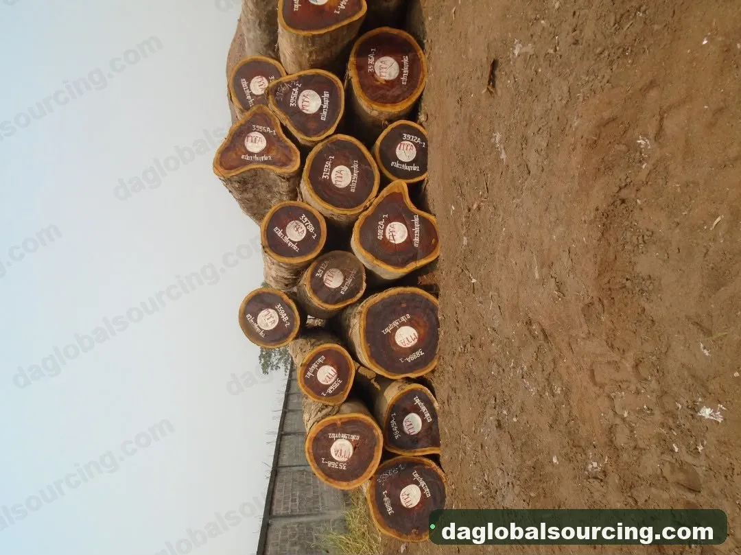 Padouk squared from Cameroon — goods a Vietnam buyer wants