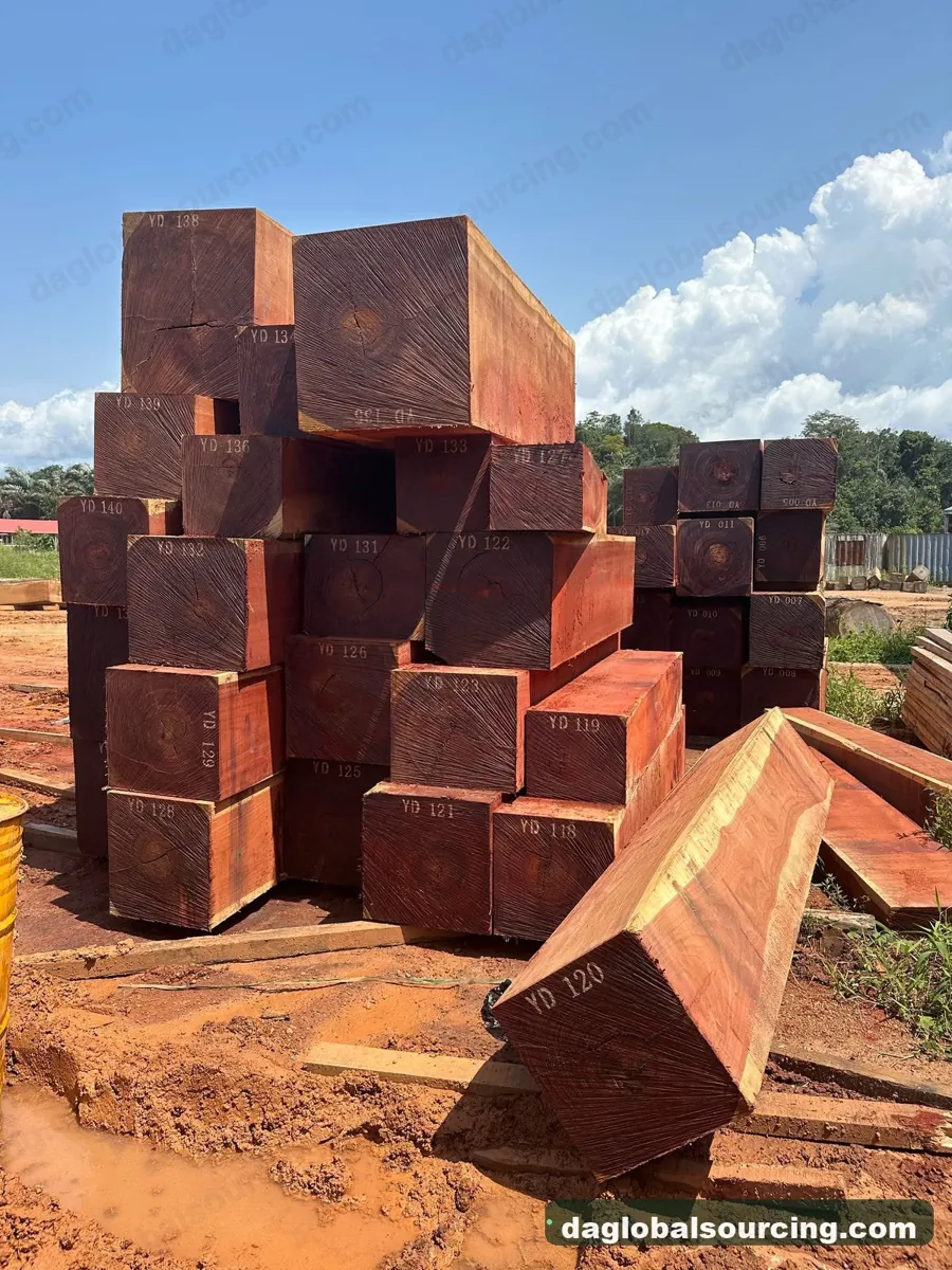 Padouk squared from Congo — goods a Vietnam buyer wants