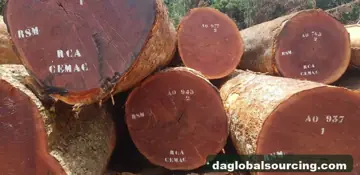 Buying Sapelli (Sapele) Logs From Congo - Long Term Order