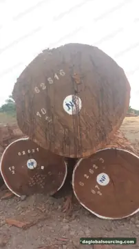 Tali (Ironwood) from Cameroon — real goods photo 3