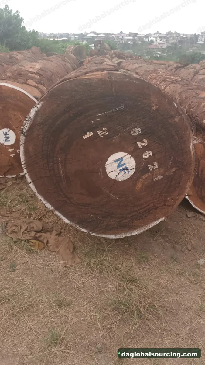 Tali (Ironwood) logs from Cameroon — goods a Vietnam buyer wants
