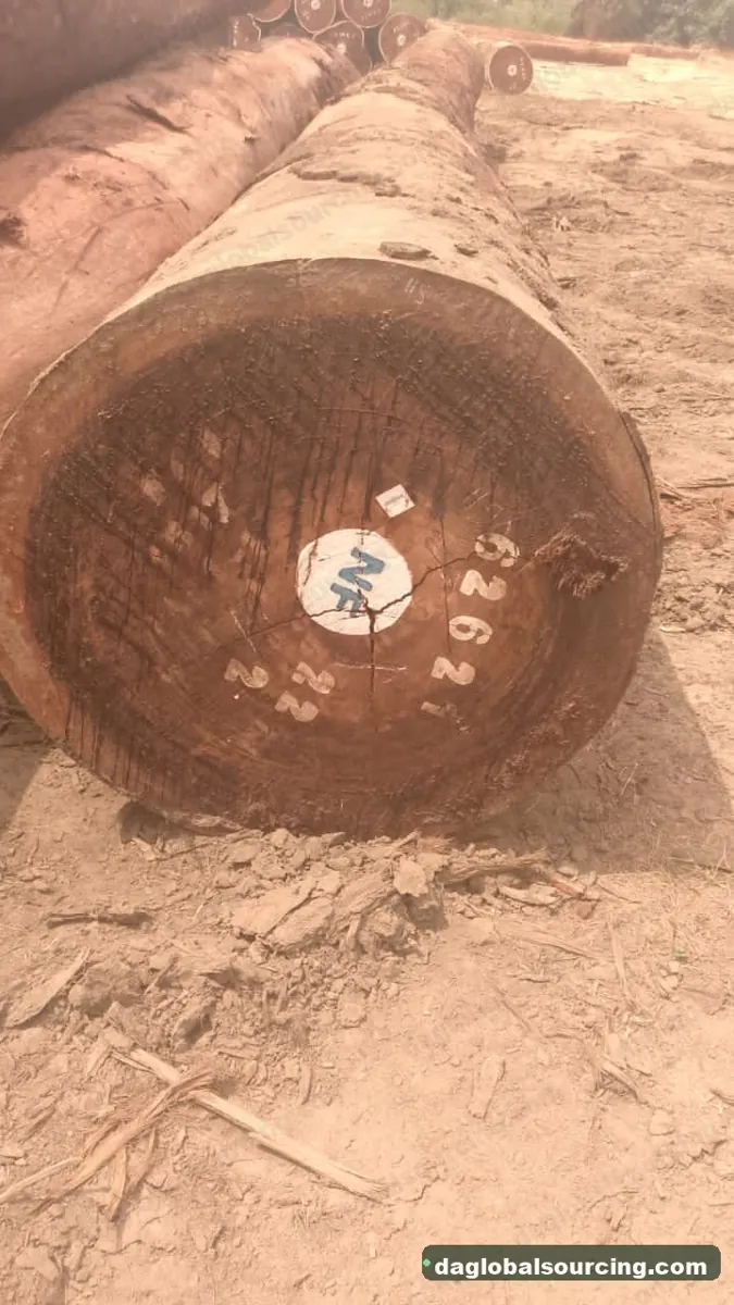 Tali (Ironwood) logs from Central African Republic — goods a Vietnam buyer wants