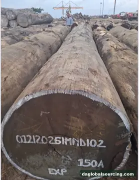 Wenge from Congo — real goods photo 2