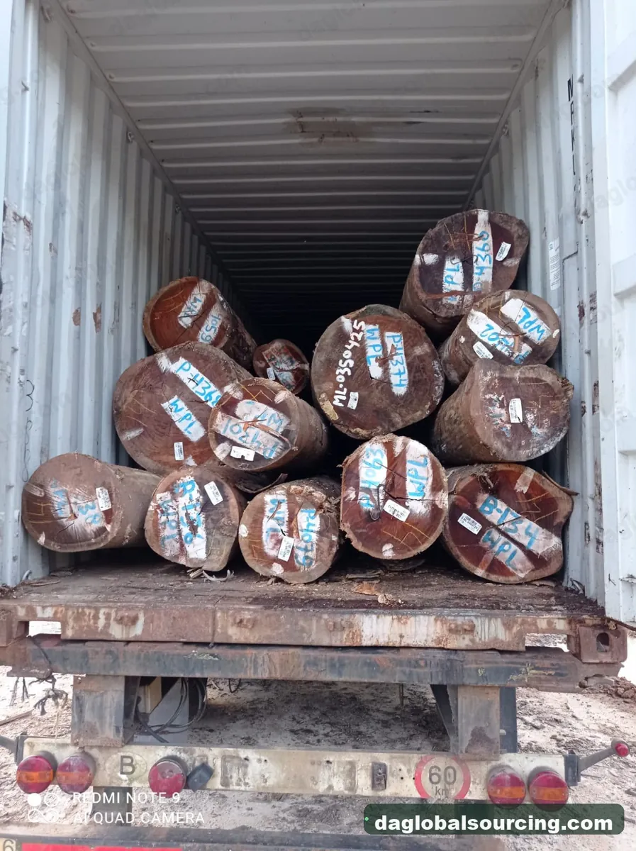 Wpl logs from Suriname — goods a Vietnam buyer wants