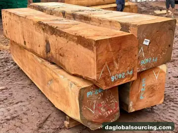 Cameroon Doussie (Afzelia) Squared Wood Needed By Vietnam Importer