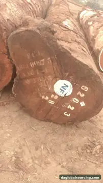 Cameroon Tali (Ironwood) Logs Needed By Vietnam Importer