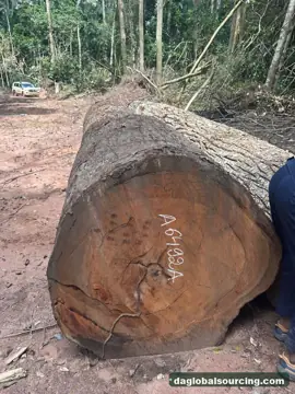 Mukulungu from Central African Republic — real goods photo 2