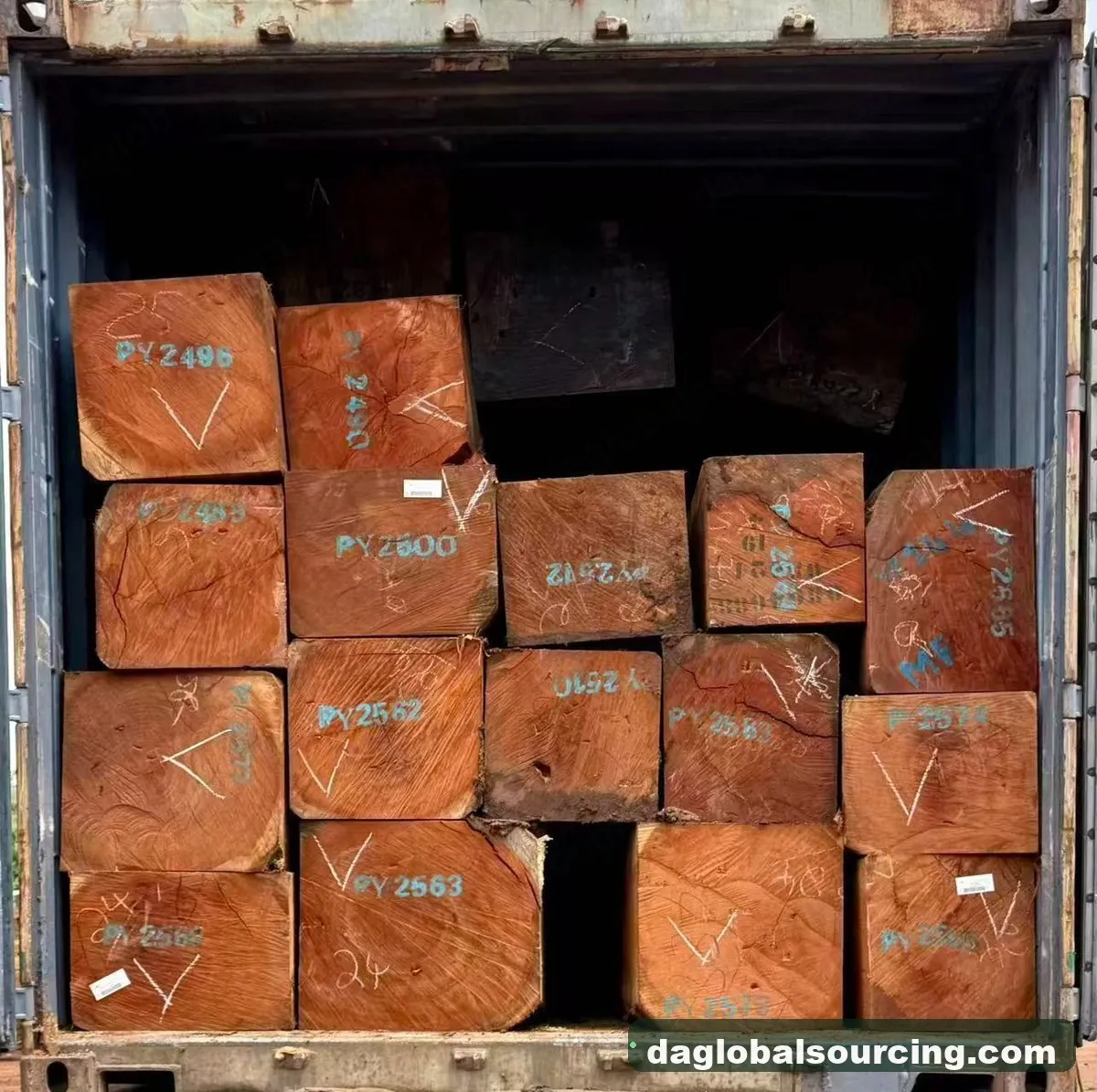 Pachyloba squared from Central African Republic — goods a Vietnam buyer wants