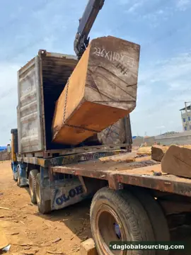Congo Iroko Squared Wood Needed By Vietnam Importer