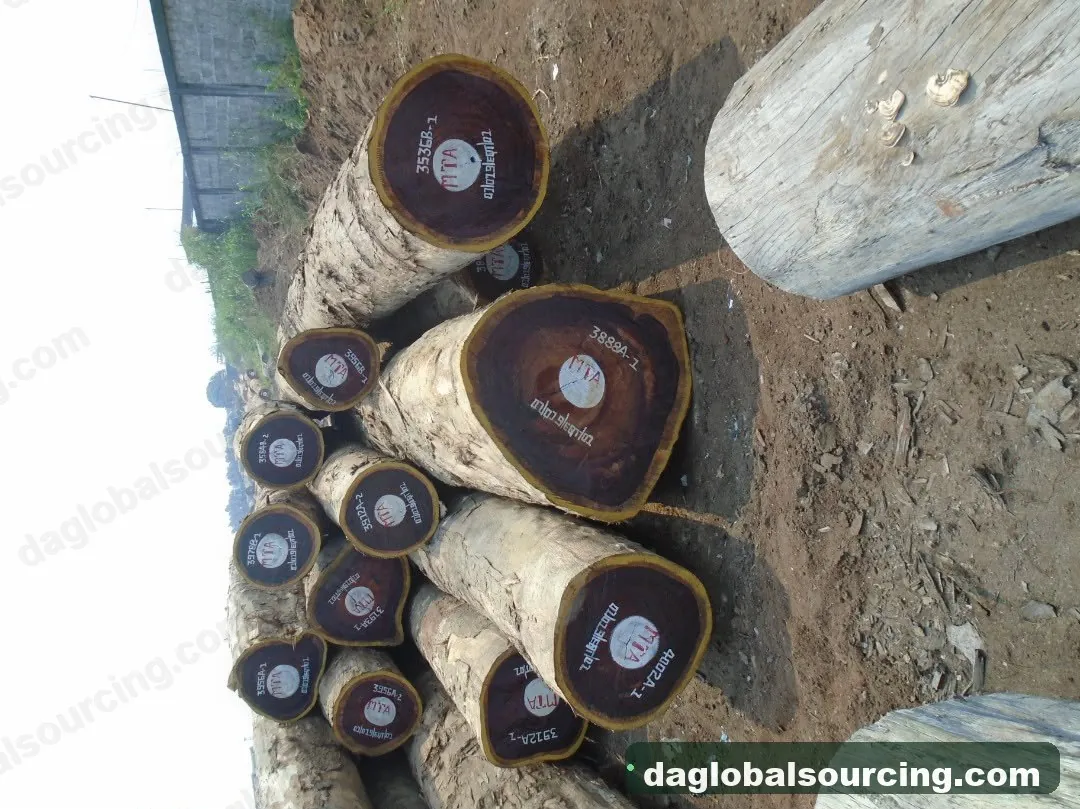 Padouk squared from Congo — goods a Vietnam buyer wants