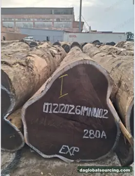 Congo Wenge Logs Needed By Vietnam Importer