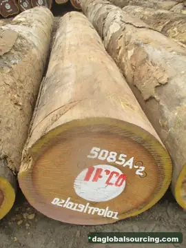 Import Bilinga Logs From Congo - Vietnam Buyer