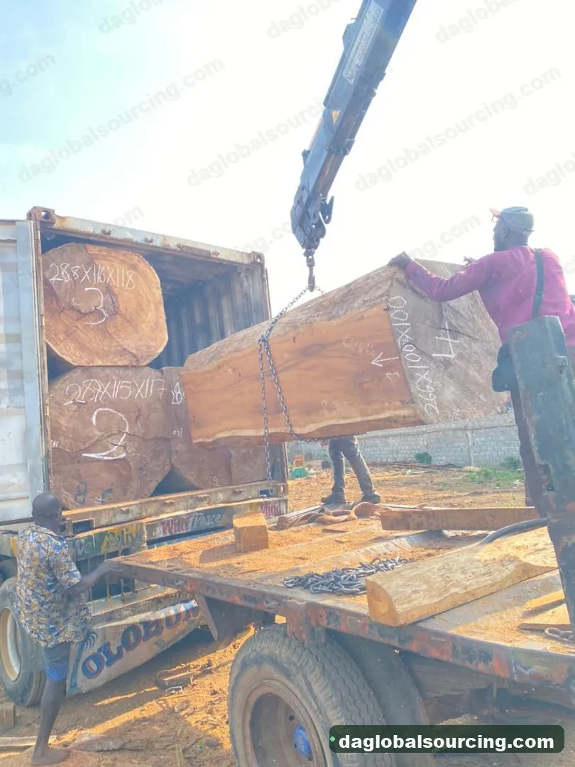 Iroko logs from Cameroon — goods a Vietnam buyer wants