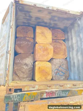 Import Iroko Logs From Congo - Vietnam Buyer