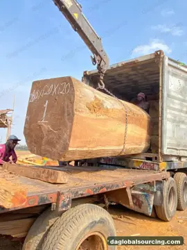 Import Iroko Logs From Nigeria - Vietnam Buyer