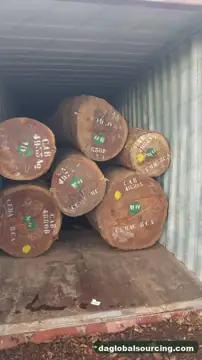 Import Pachyloba (Afzelia) Logs From Cameroon - Vietnam Buyer