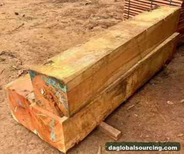 Import Pachyloba (Afzelia) Squared Wood From Cameroon - Vietnam Buyer