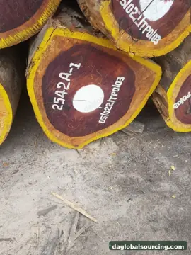 Padouk from Central African Republic — real goods photo 2