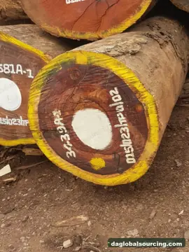Import Padouk Squared Wood From Cameroon - Vietnam Buyer