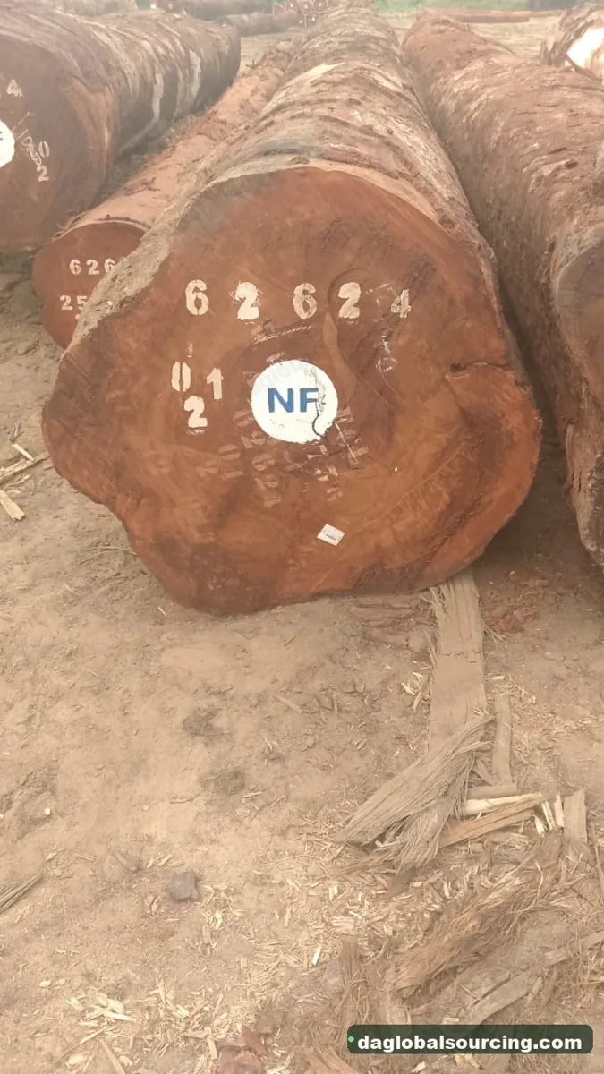 Tali (Ironwood) logs from Congo — goods a Vietnam buyer wants