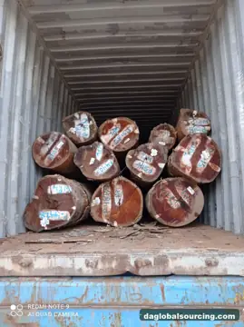 Import WPL (Witte Pinto Locus) Logs From Suriname - Vietnam Buyer