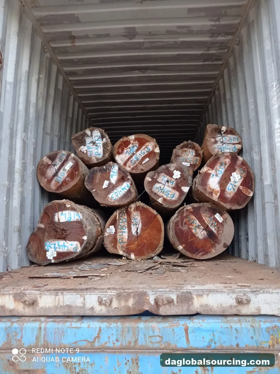 Wpl logs from Suriname — goods a Vietnam buyer wants