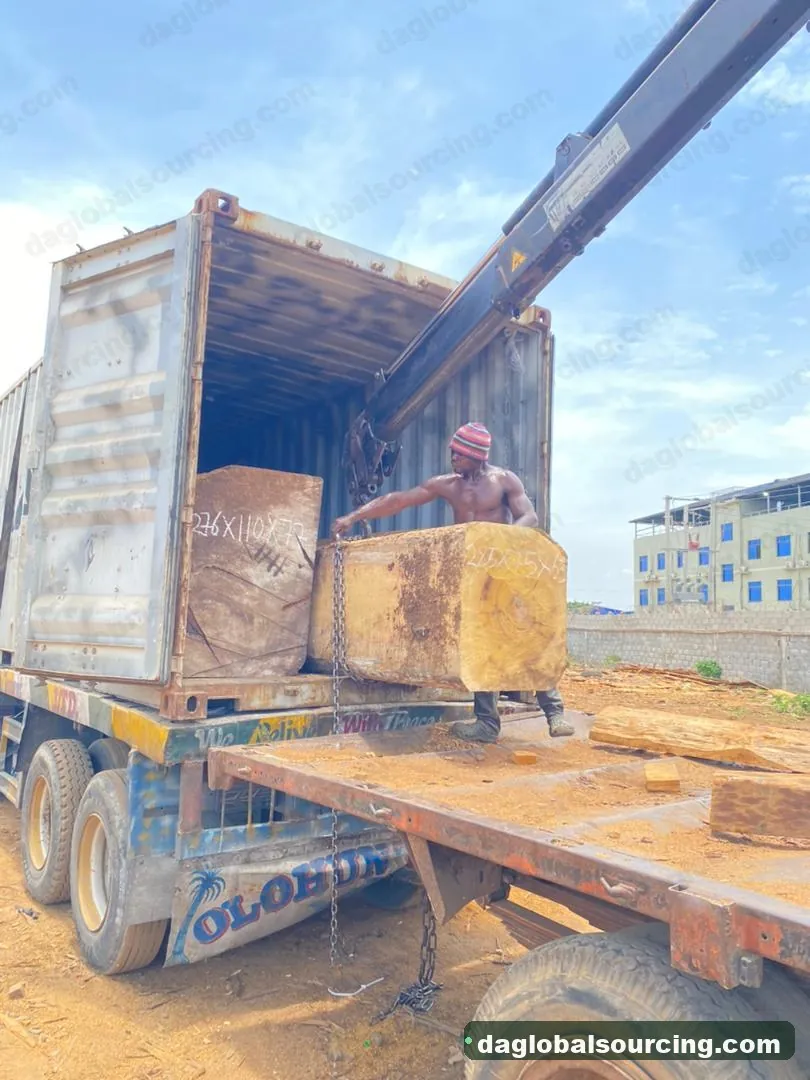 Iroko logs from Cameroon — goods a Vietnam buyer wants