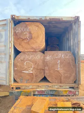 Iroko from Congo — real goods photo 2