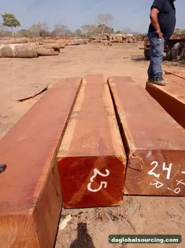 Jatoba (Paquio) Squared Wood Wanted - Vietnam Monthly Buyer
