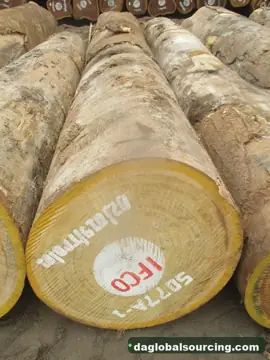 Bilinga from Cameroon — real goods photo 4