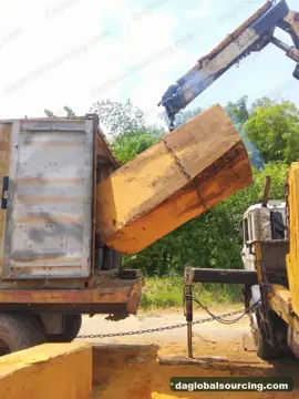 Looking For Bilinga Suppliers In Cameroon
